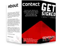 Sentinal Records Brochure Design (outside)