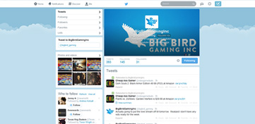 Big Bird Gaming Inc Twitter Page Design